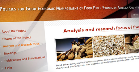Policies for Good Economic Management of Food Price Swings in African Countries Policies for Good Economic Management of Food Price Swings in African Countries