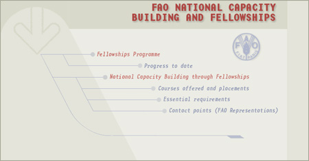 Fao national capacity building and fellowships Fao national capacity building and fellowships
